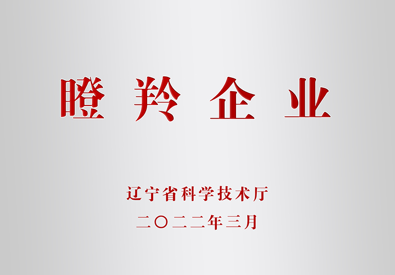 12.瞪羚企业-辽宁省科技厅-2022.3