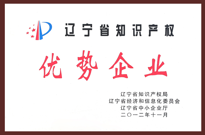 13.辽宁省知识产权优势企业0-2012.11
