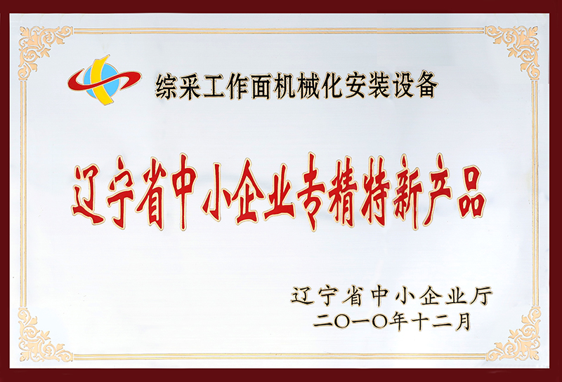 15.辽宁省中小企业专精特新产品-2010.12