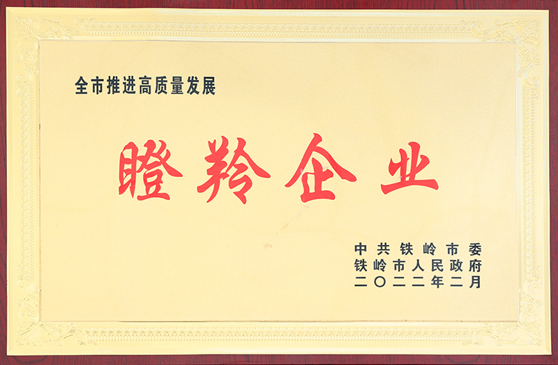 21.瞪羚企业-2022.2-铁岭市委