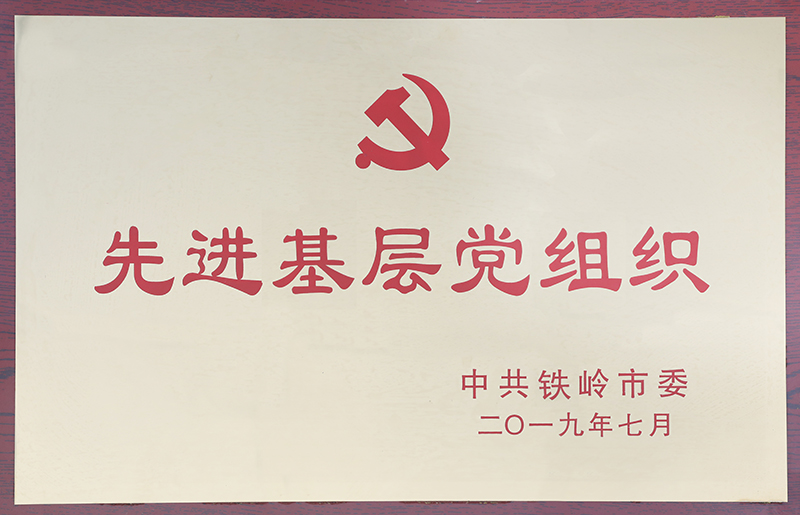 22.先进基层党组织-2019.7--铁岭市委