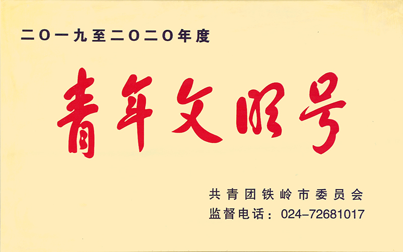 24,2019-2020年度青年文明号-