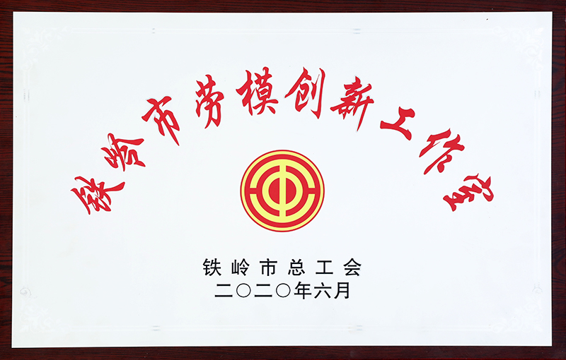 29.铁岭市劳模创新工作室-2020.6