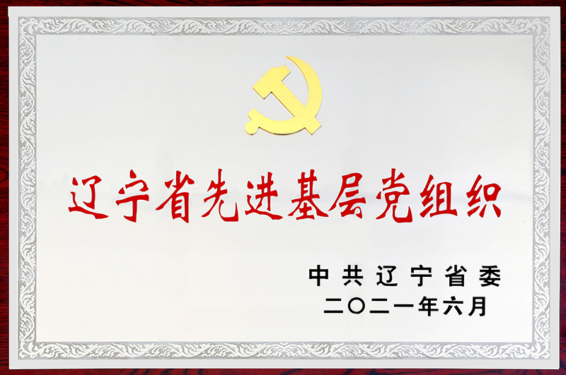 8.辽宁省先进基层党组织-2021.6