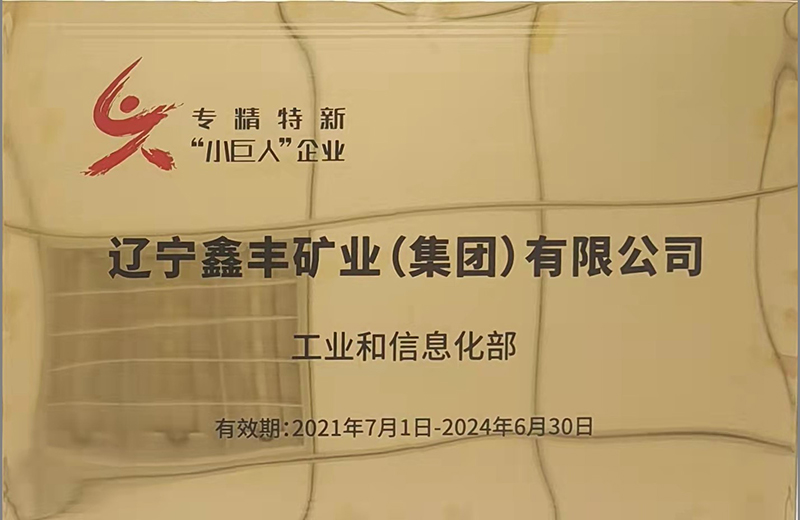 小巨人